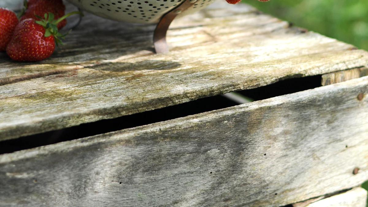 Understanding OpenAI’s Project Strawberry and Its Impact on AI